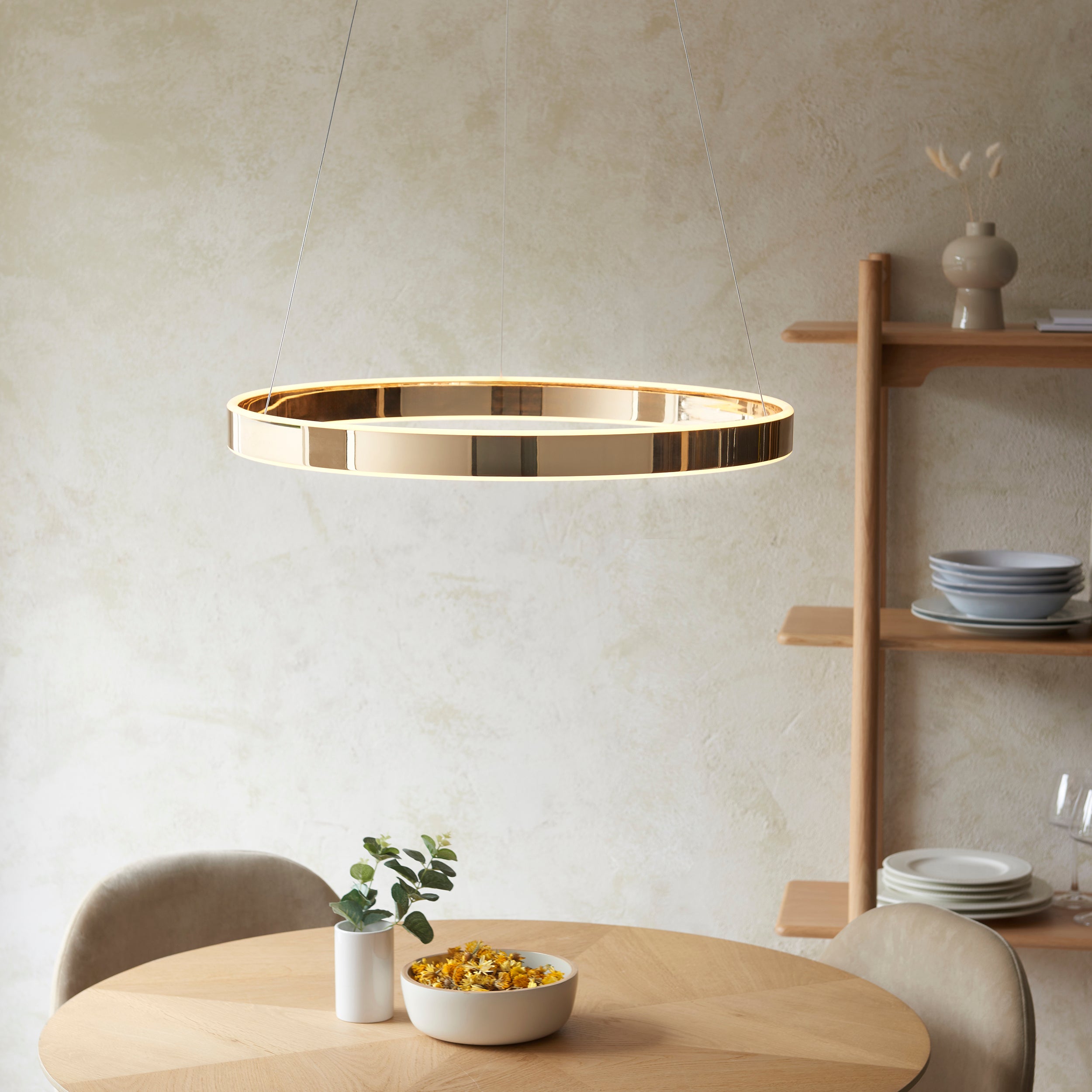 Bjorn Ring Pendant Light