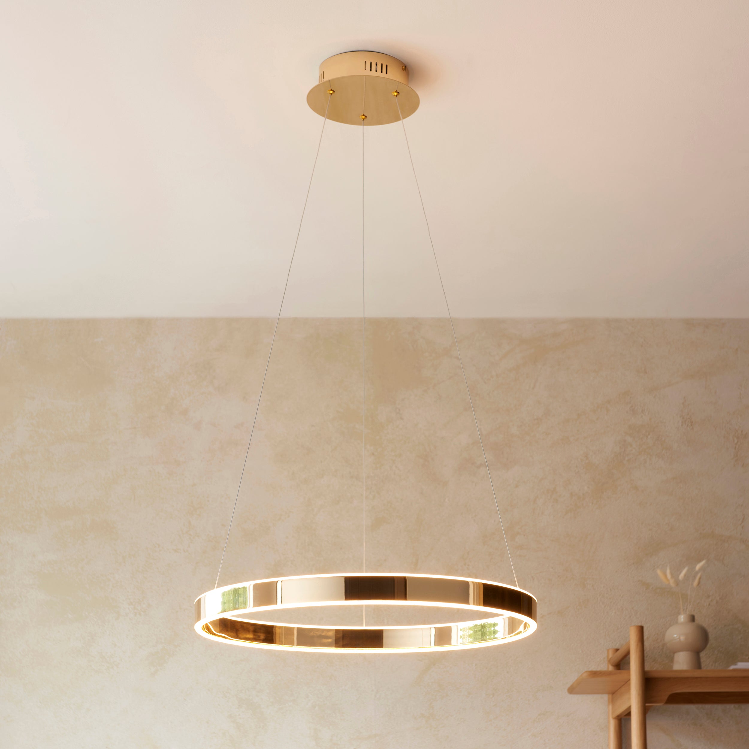 Bjorn Ring Pendant Light
