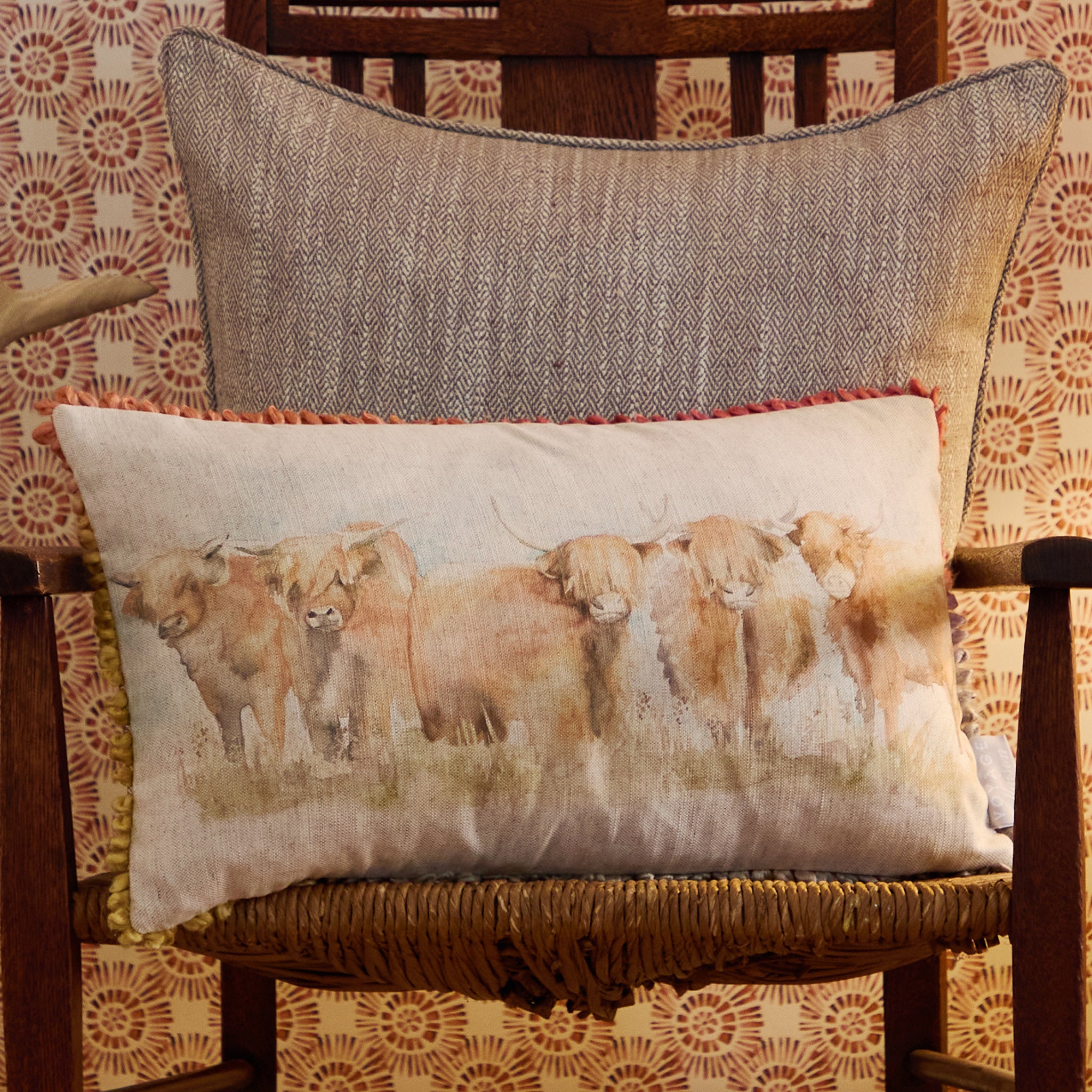 Chasca Highland Cattle Cushion