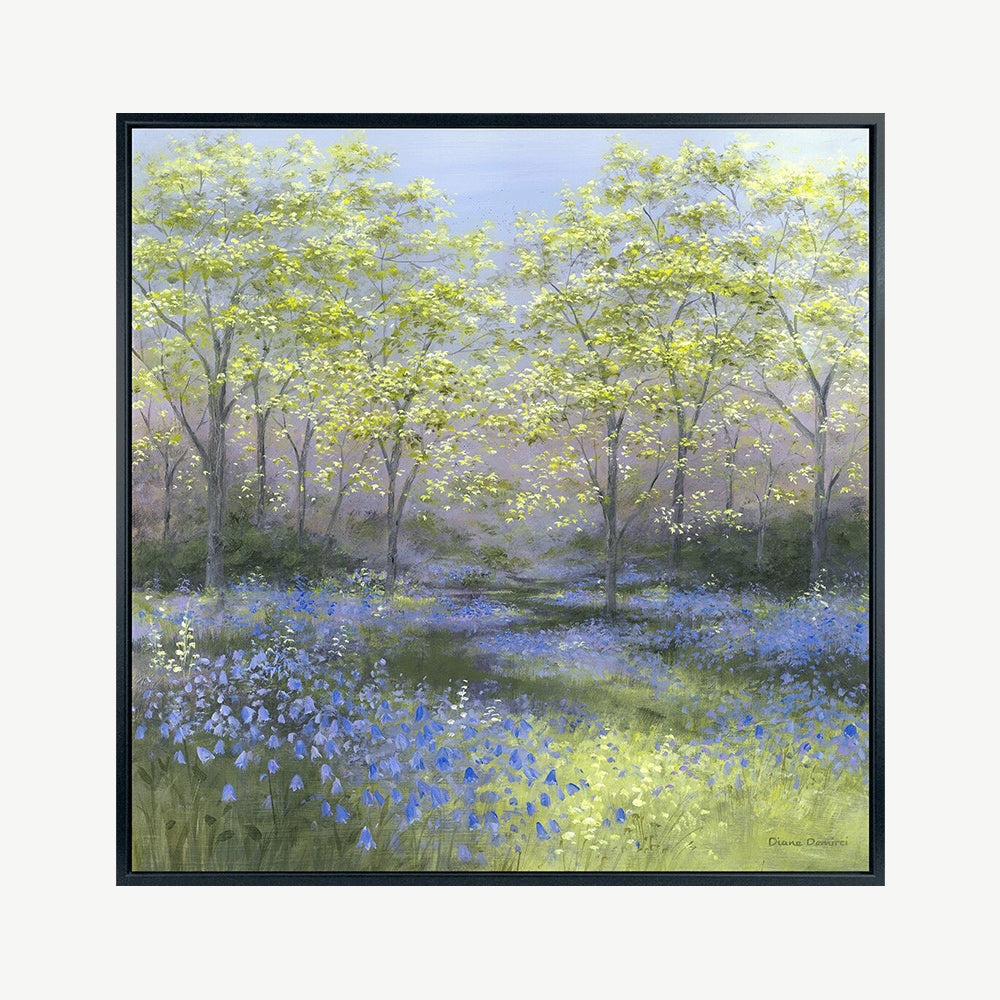 Springtime woodland image with bluebells and green trees in an elegant black frame