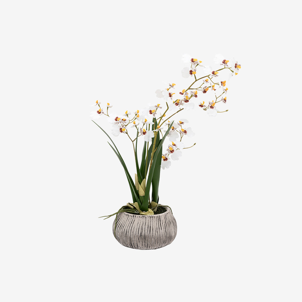 Artificial White Orchid in Low Ceramic Pot