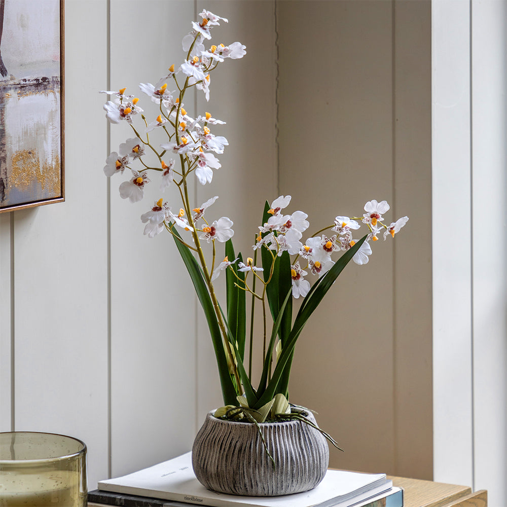 Artificial White Orchid in Low Ceramic Pot