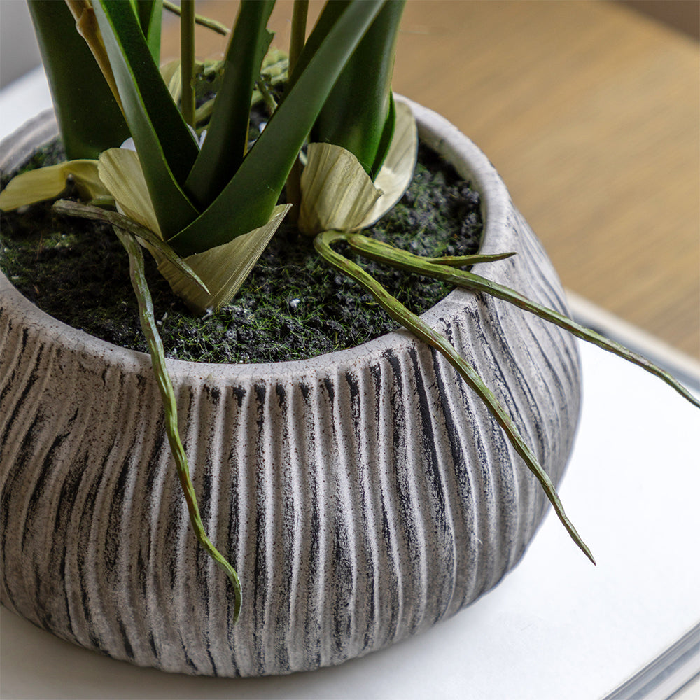 Artificial White Orchid in Low Ceramic Pot