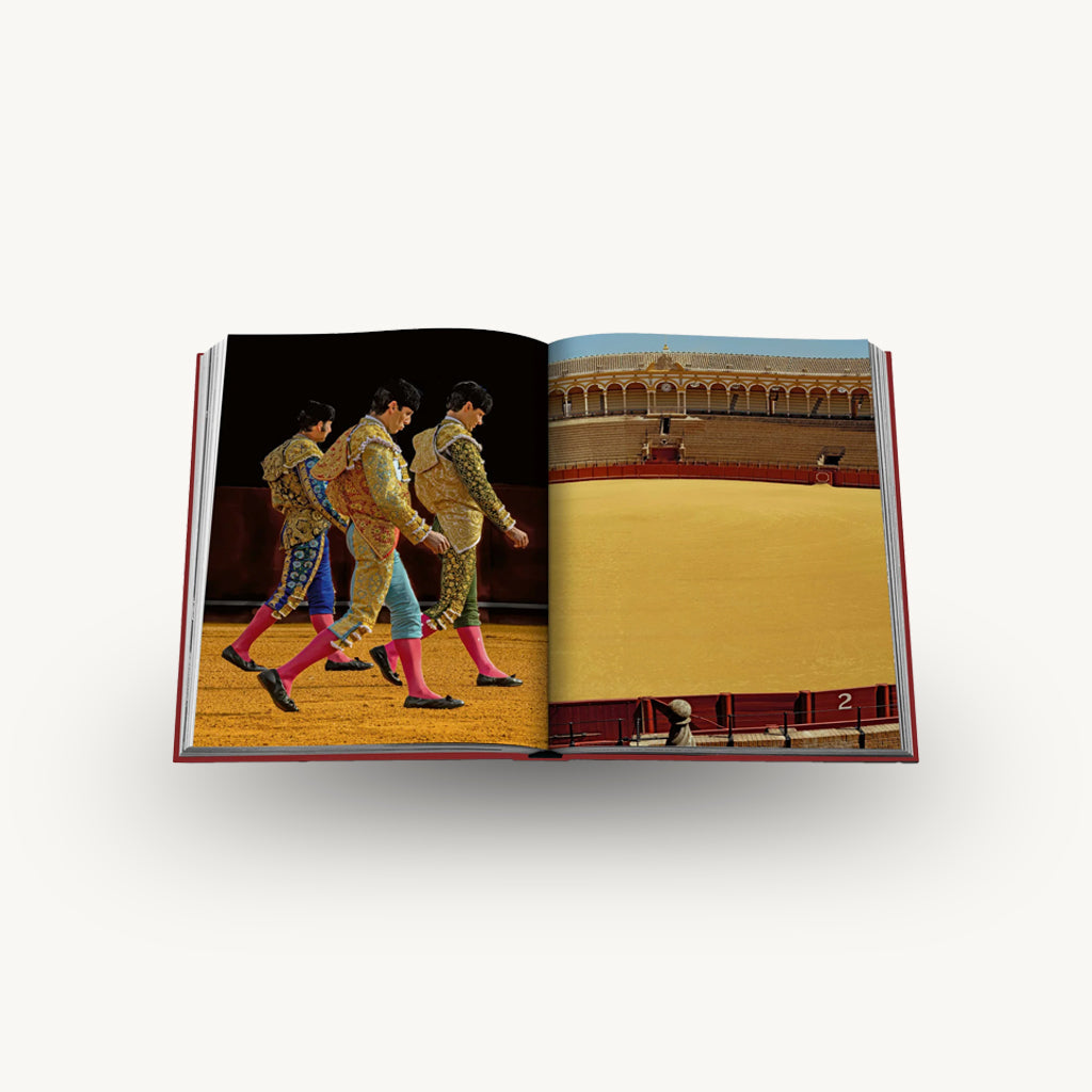 Assouline Seville Arte Book