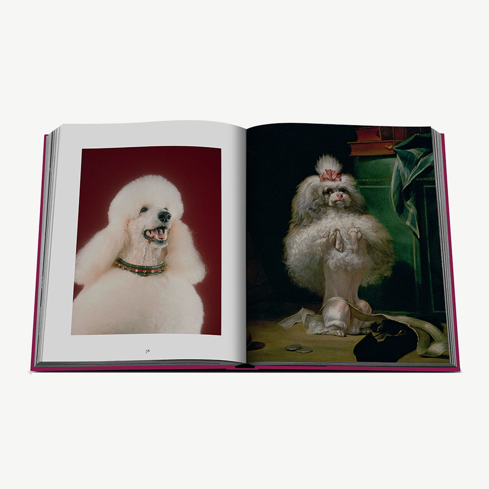 Assouline Chic Dogs Book