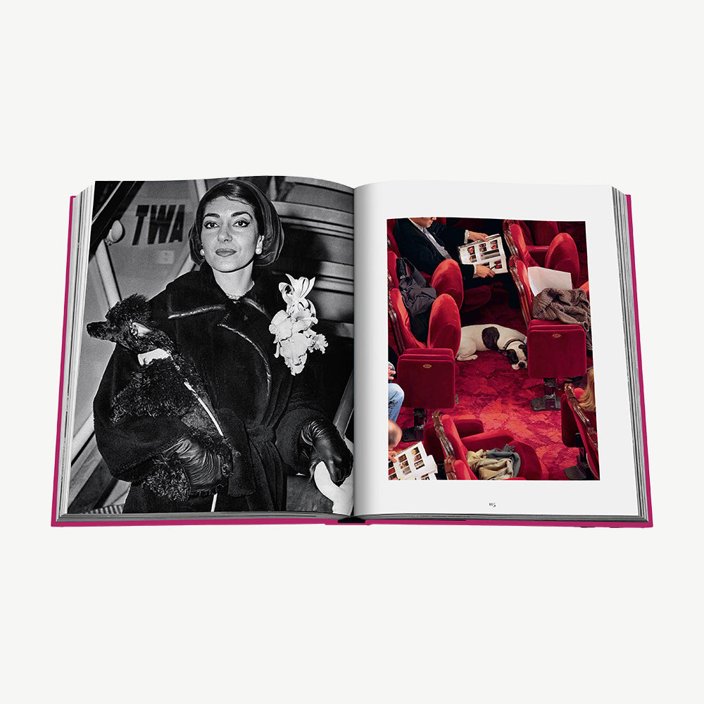 Assouline Chic Dogs Book