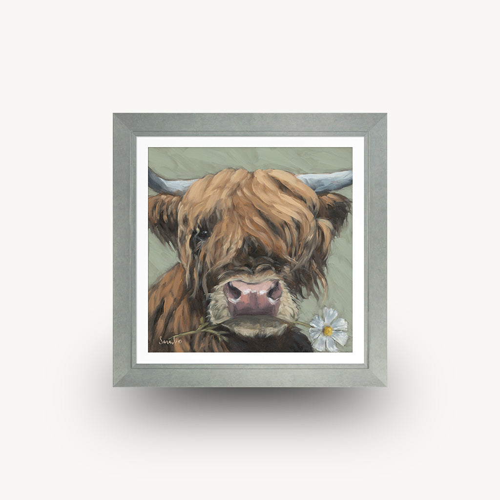Daisy Framed Wall Art
