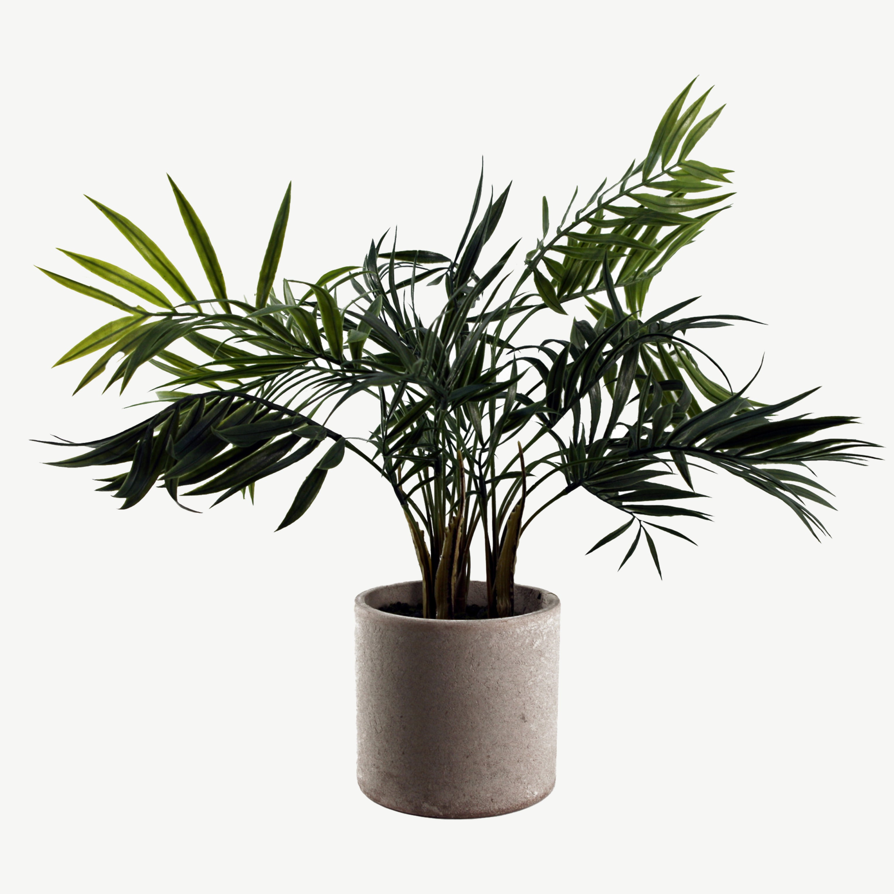 Artificial mini palm in neutral pot
