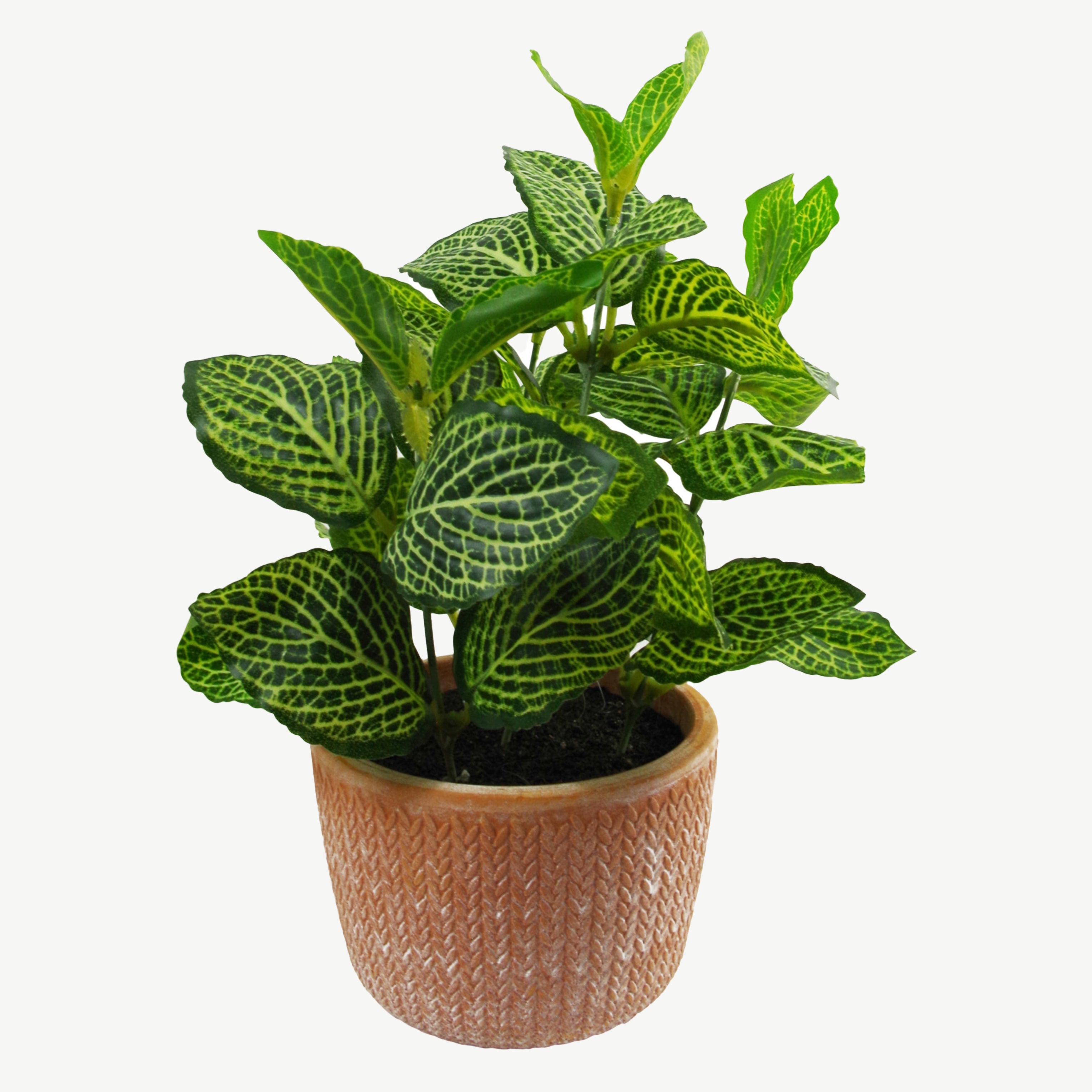 Mini artificial lush green pothos plant in terracotta pot