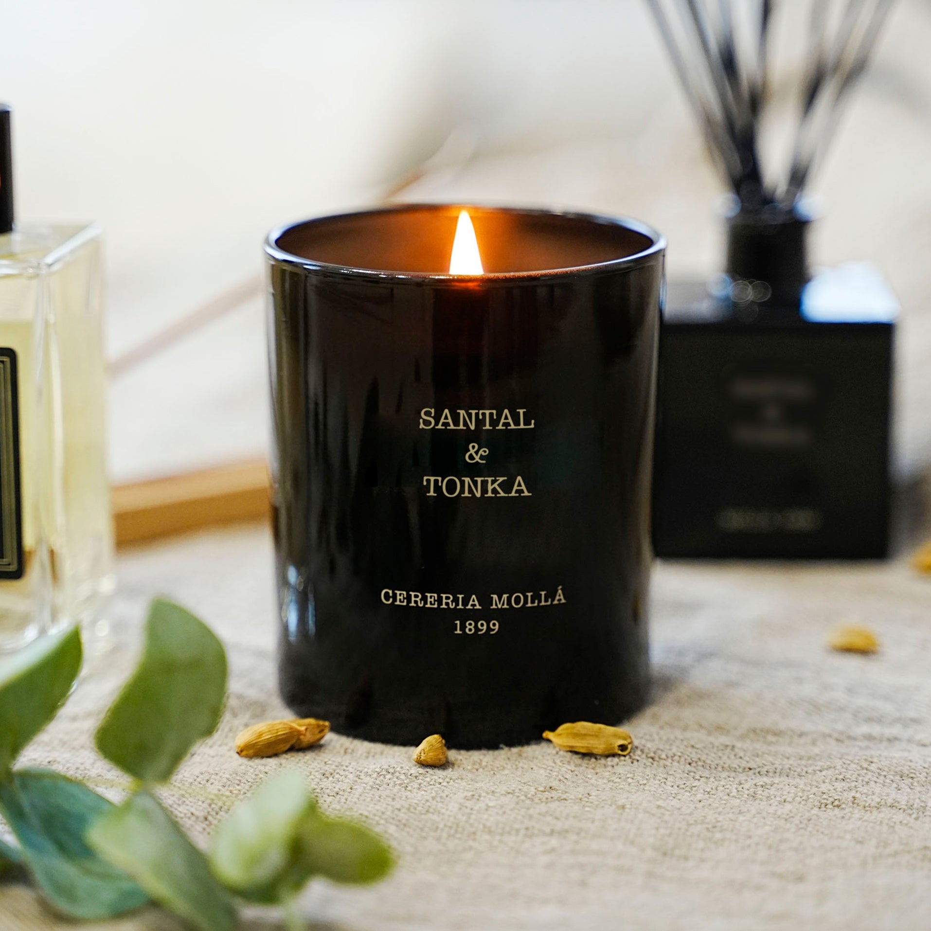 Santal & Tonka Premium Candle