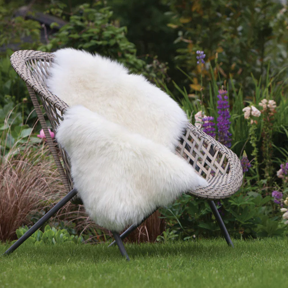 Australian Genuine Sheepskin Rug in Natural