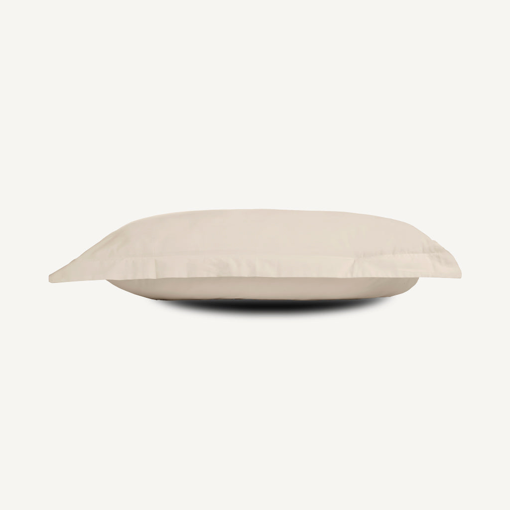 TLC 5 Star Hotel Concept: 250 TC Pillowcases in Cream