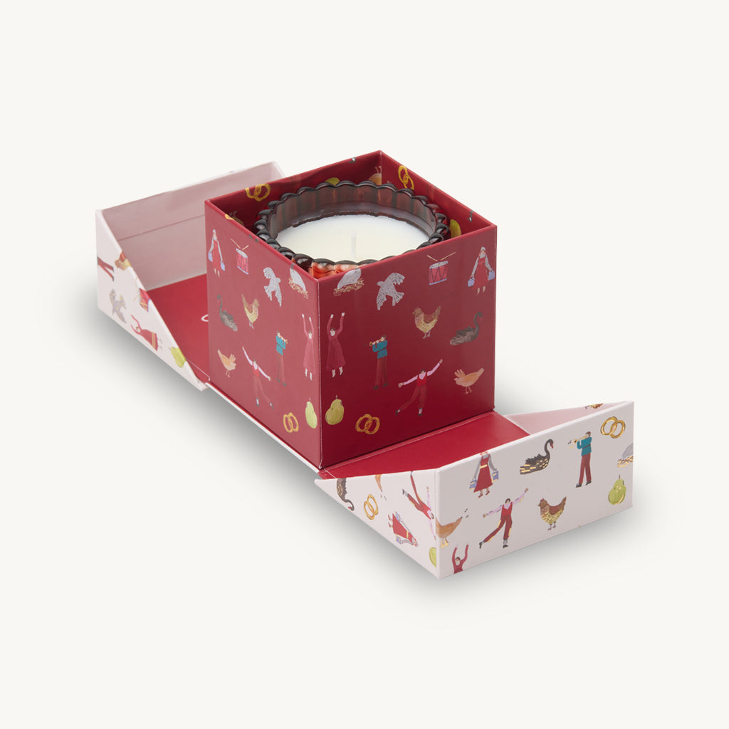 Winter Berry Christmas Soy Candle