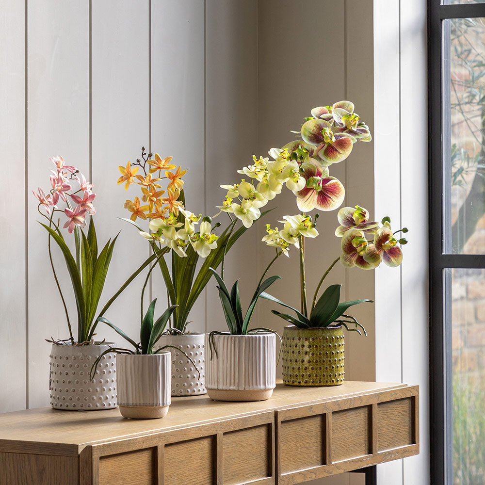 Artificial Cream Orchid in Ribbed White Ceramic Pot