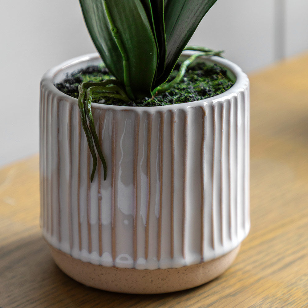 Artificial Cream Orchid in Ribbed White Ceramic Pot