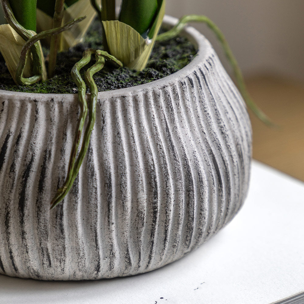 Artificial Orchid in Low Ceramic Pot