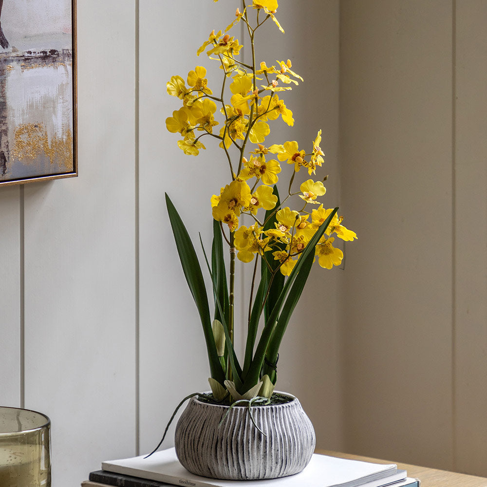 Artificial Orchid in Low Ceramic Pot