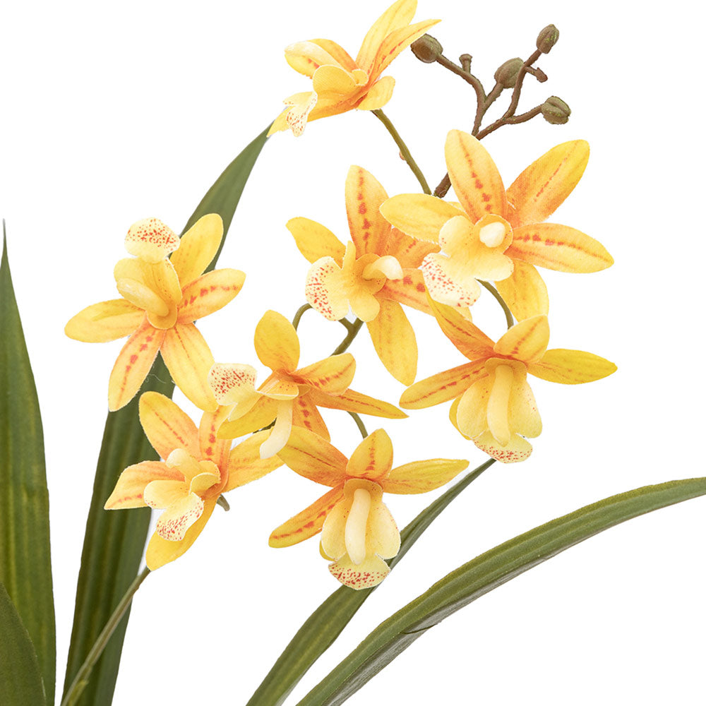 Artificial Orchid in White Ceramic Dot Pot