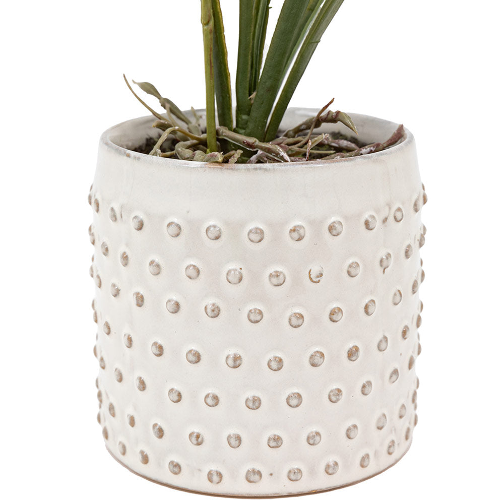 Artificial Orchid in White Ceramic Dot Pot