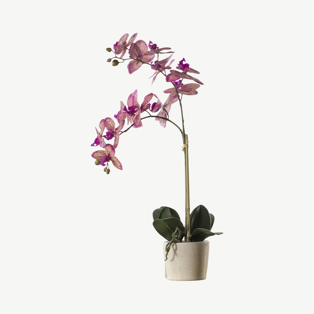 Artificial Orchid Pink with Ceramic Pot