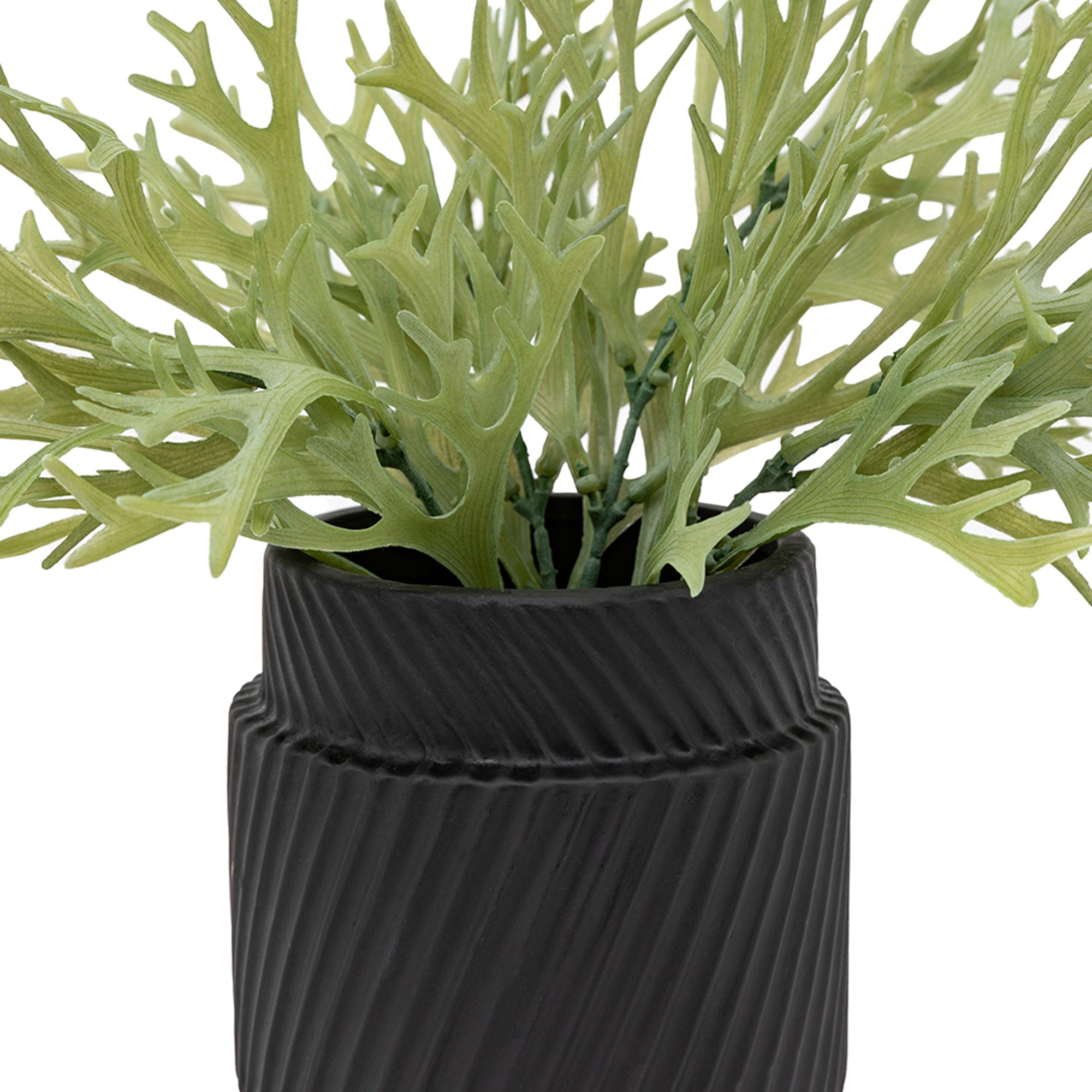 Artificial Playycerium in Ceramic Pot