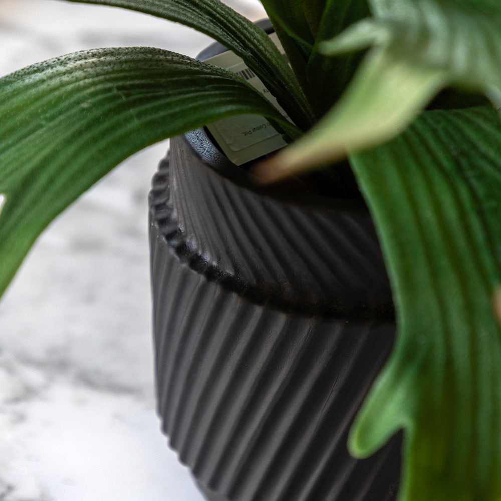 Artificial Playycerium Multi Colour in Ceramic Pot