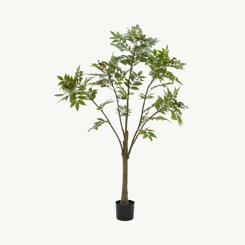 Artificial Potted Chinese White Olive Tree