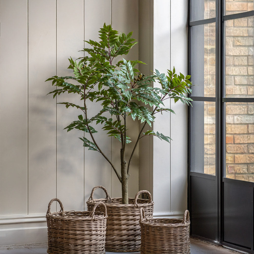 Artificial Potted Chinese White Olive Tree