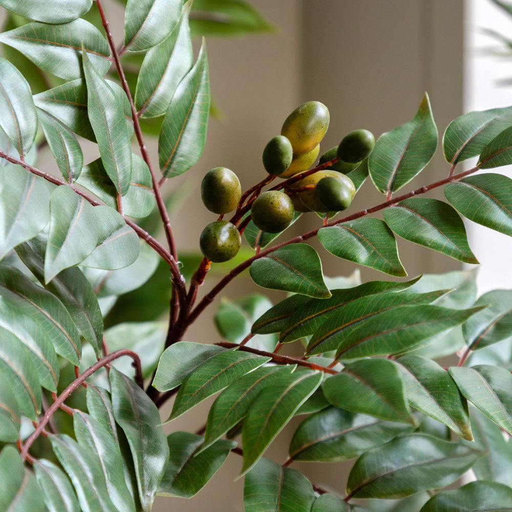 Artificial Potted Chinese White Olive Tree