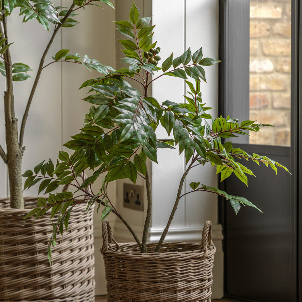 Artificial Potted Chinese White Olive Tree