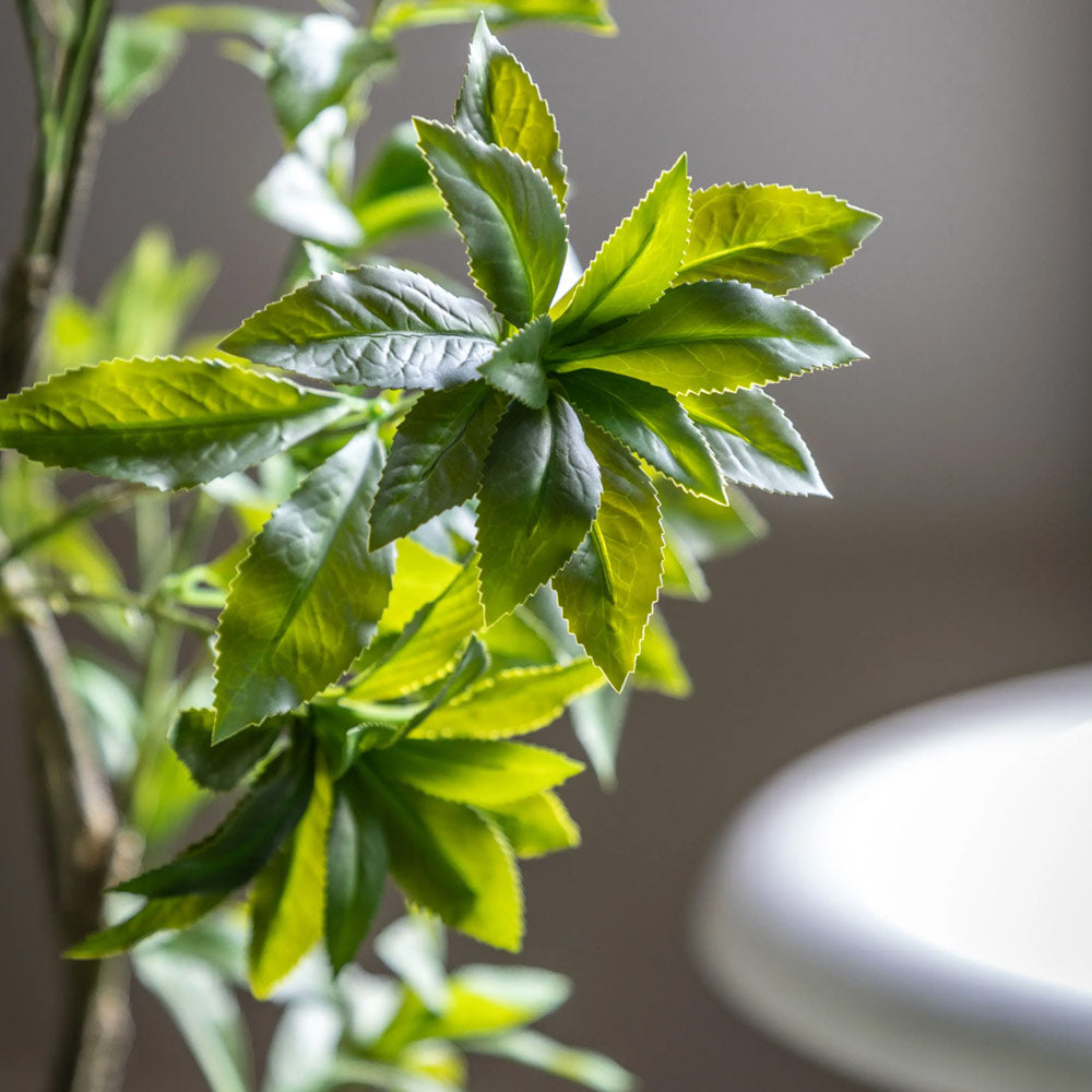 Artificial Potted Pierisjaponica Tree
