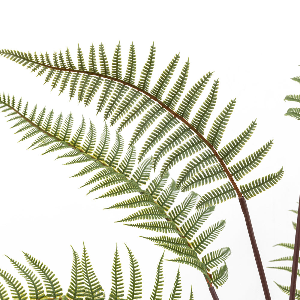 Artificial Tall Fern in Textured Grey Ceramic Pot