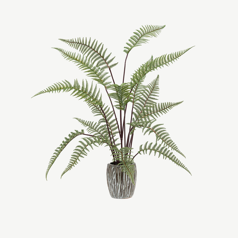 Artificial Tall Fern in Textured Grey Ceramic Pot