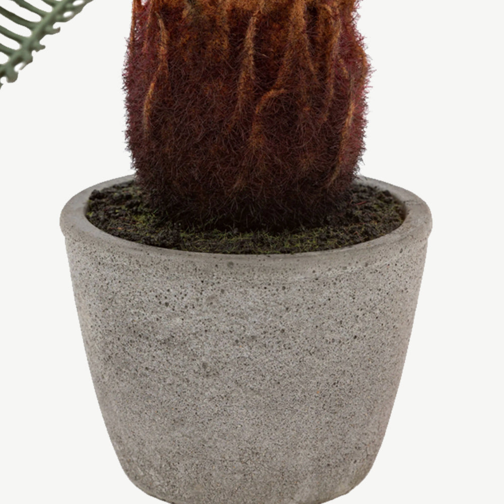 Artificial Wide Palm in Concrete Pot