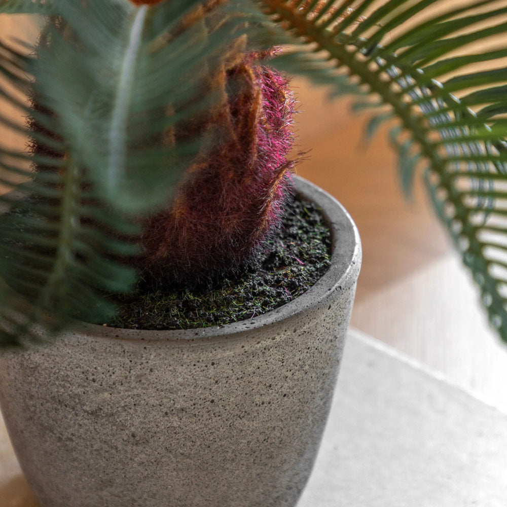 Artificial Wide Palm in Concrete Pot