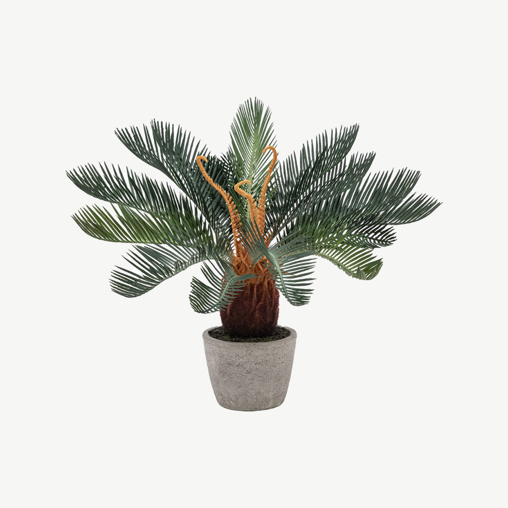 Artificial Wide Palm in Concrete Pot