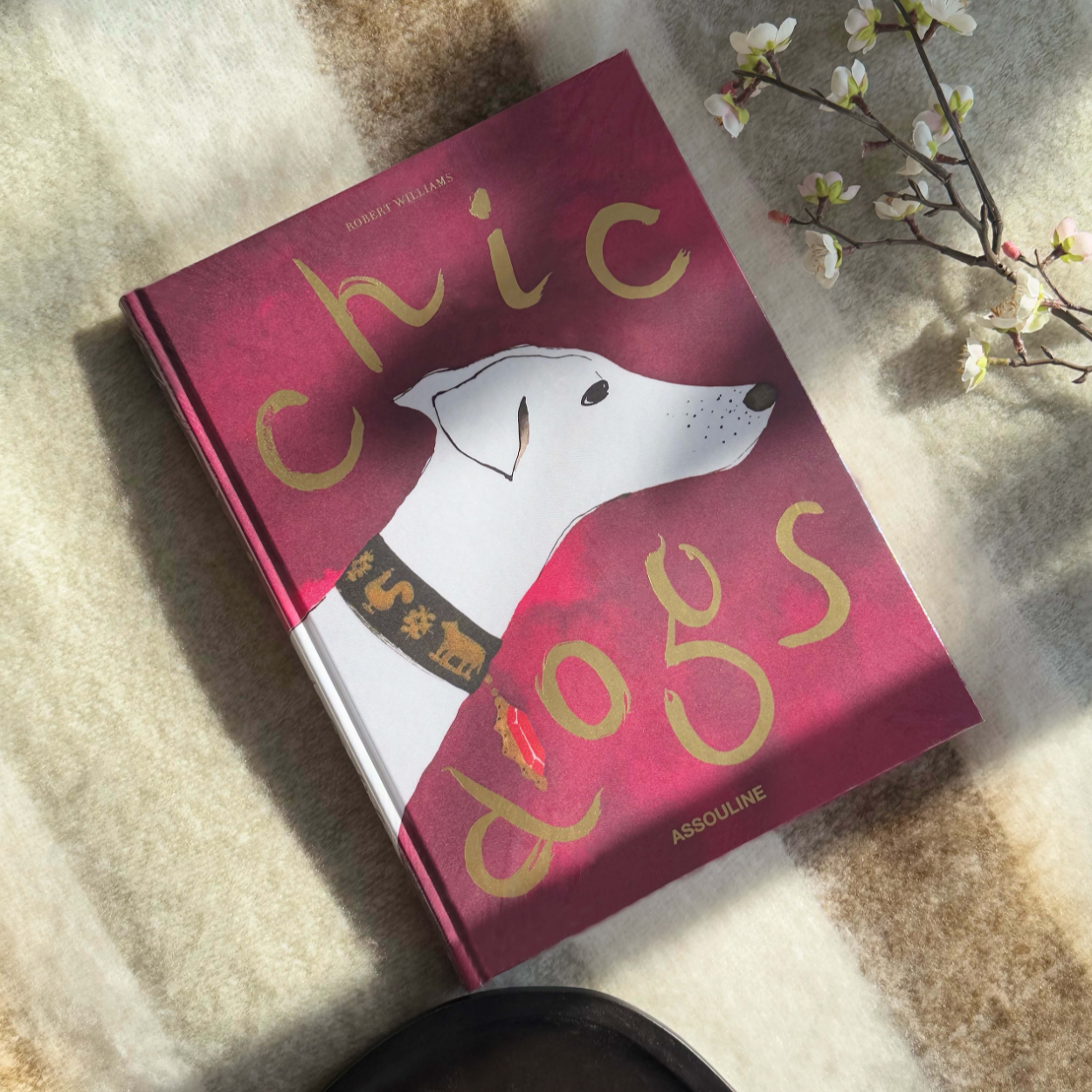 Assouline Chic Dogs Book