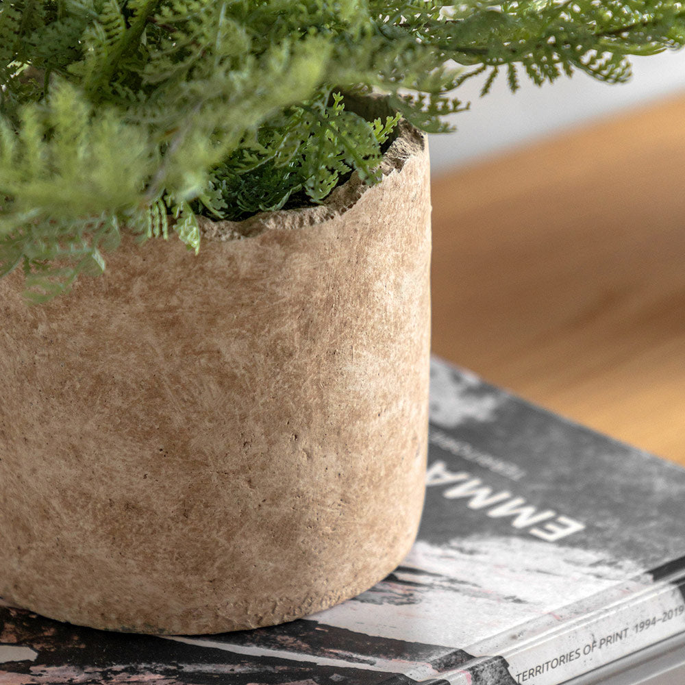 Artificial Fern in Cement pot
