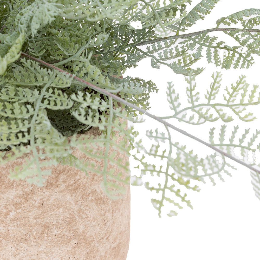 Artificial Fern in Cement pot