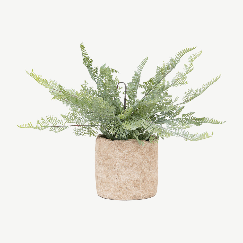 Artificial Fern in Cement pot