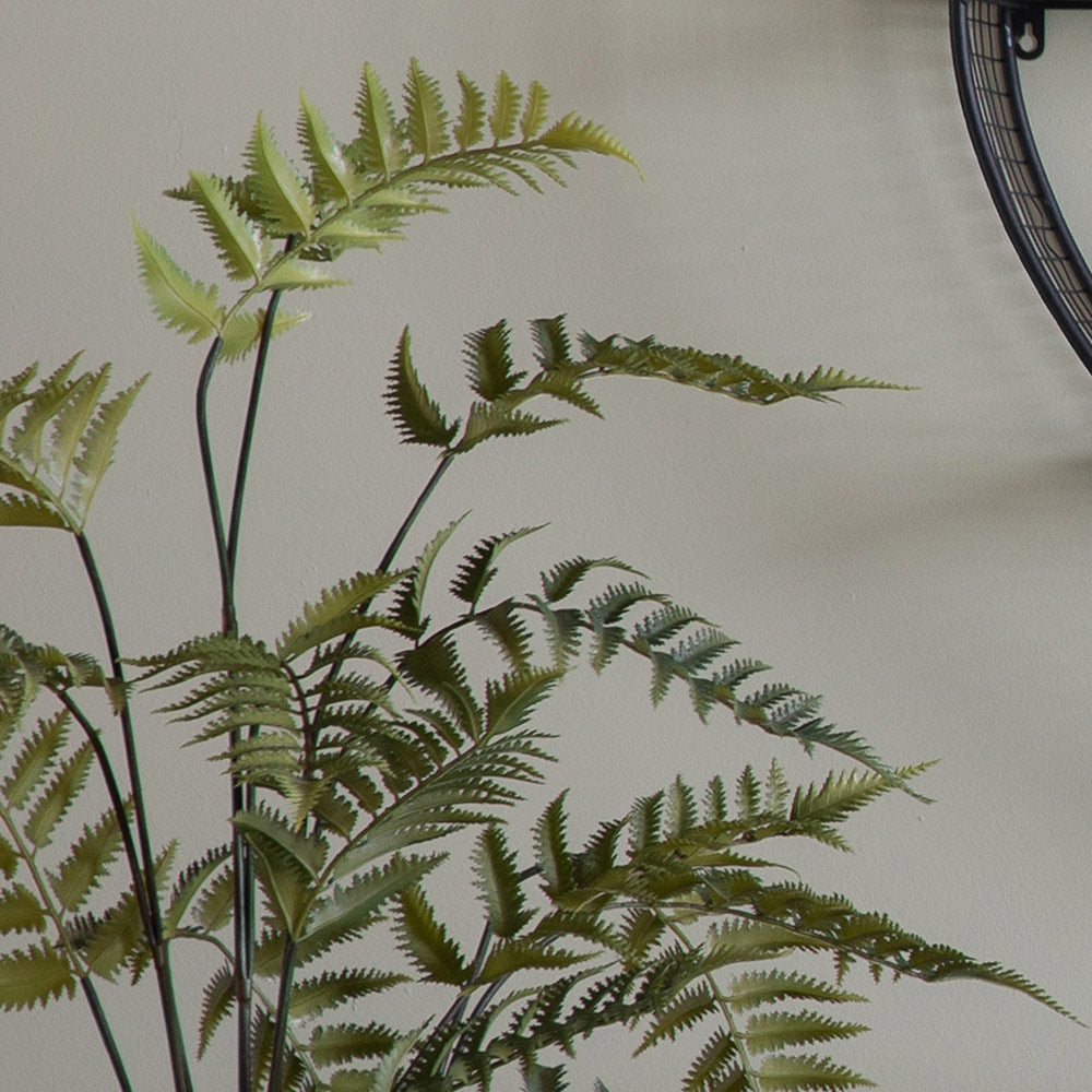 Potted Fern in Cement Pot