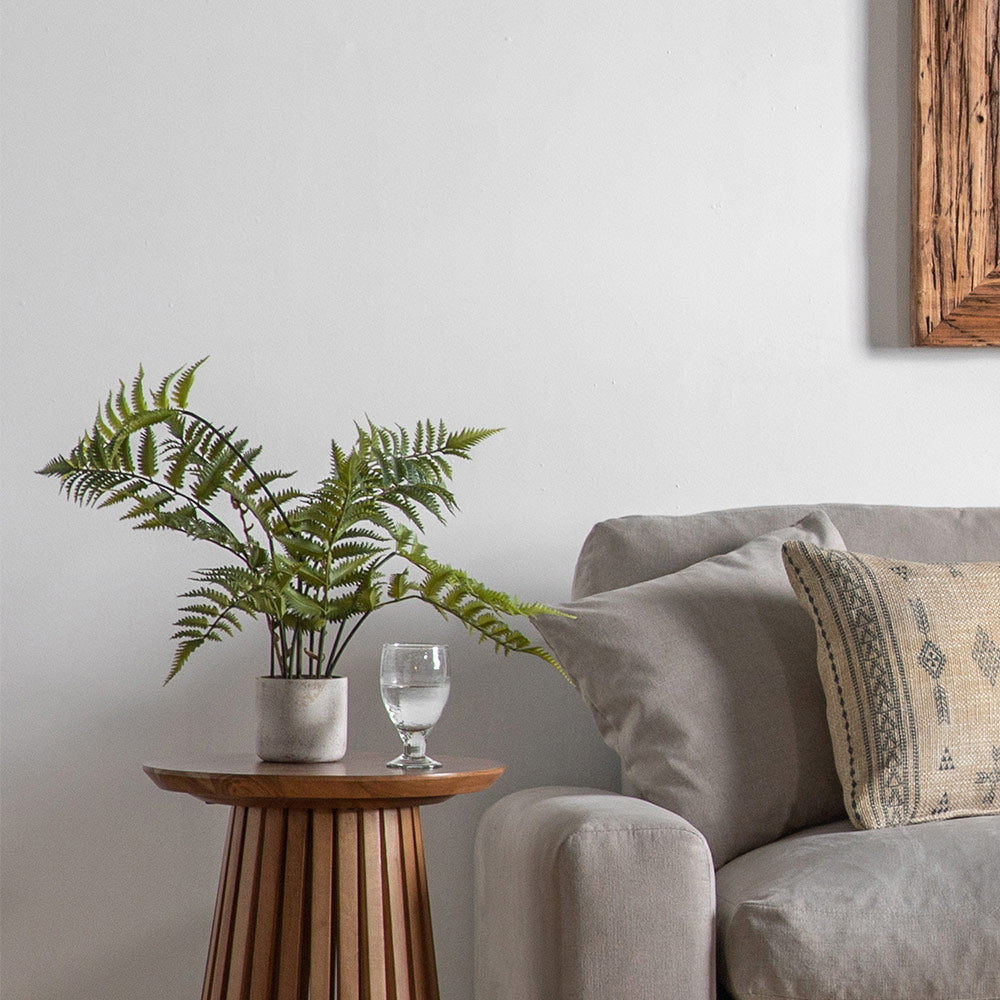 Potted Fern in Cement Pot