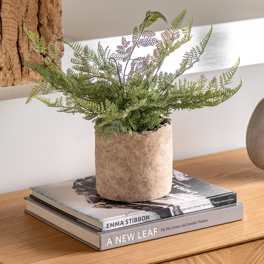 Artificial Fern in Cement pot