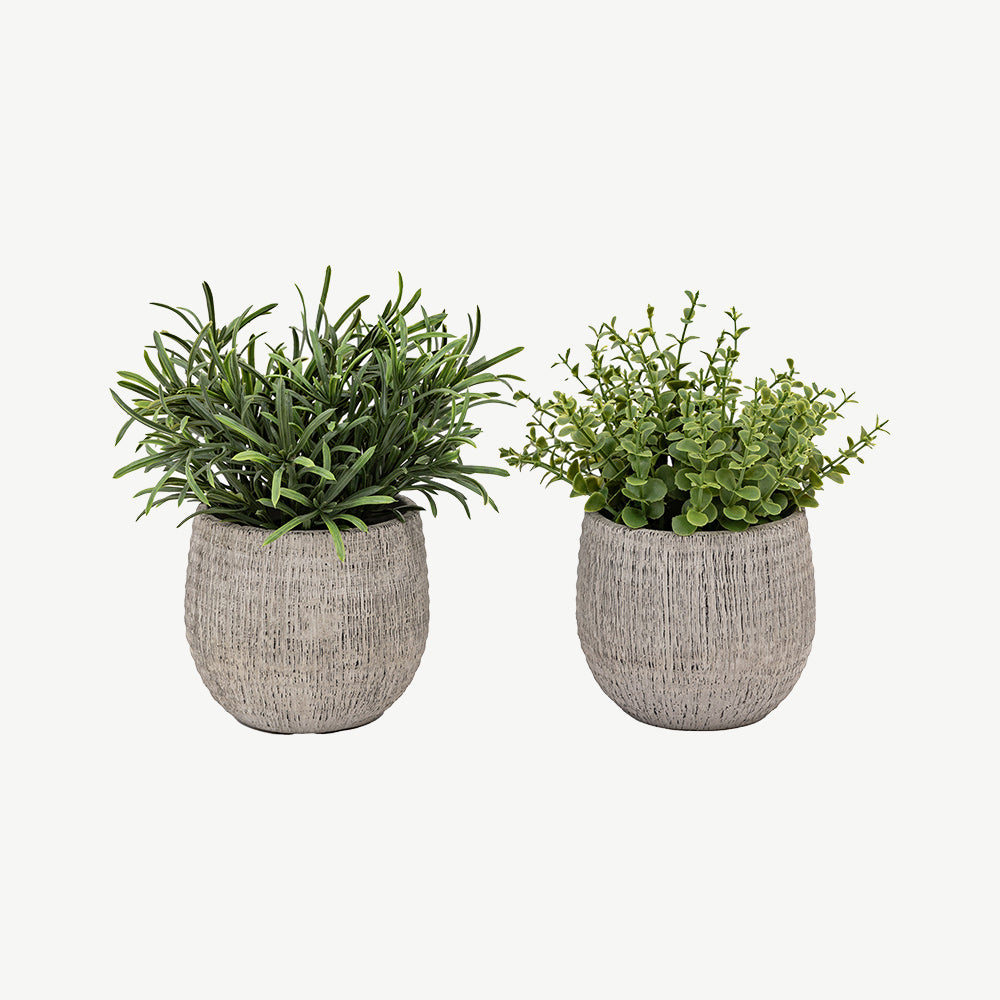 Set of 2 Potted Plant Ceramic Scratch Pots Rosemary