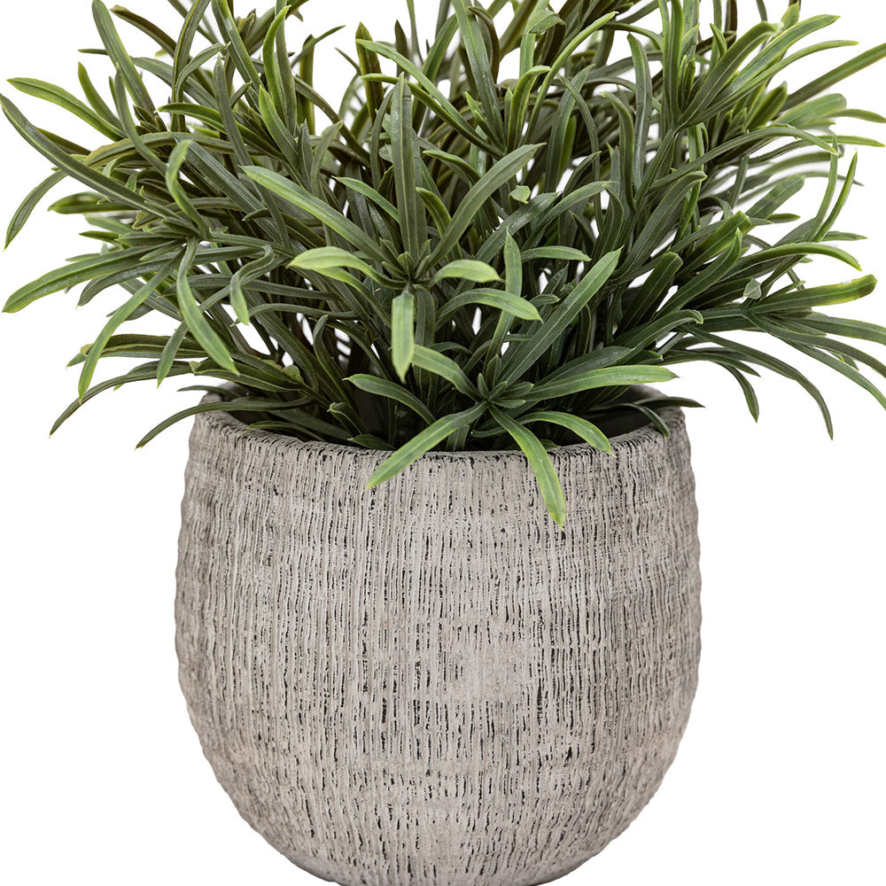 Set of 2 Potted Plant Ceramic Scratch Pots Rosemary