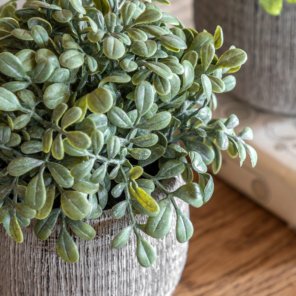 Set of 2 Potted Plant Ceramic Scratch Pots Sage