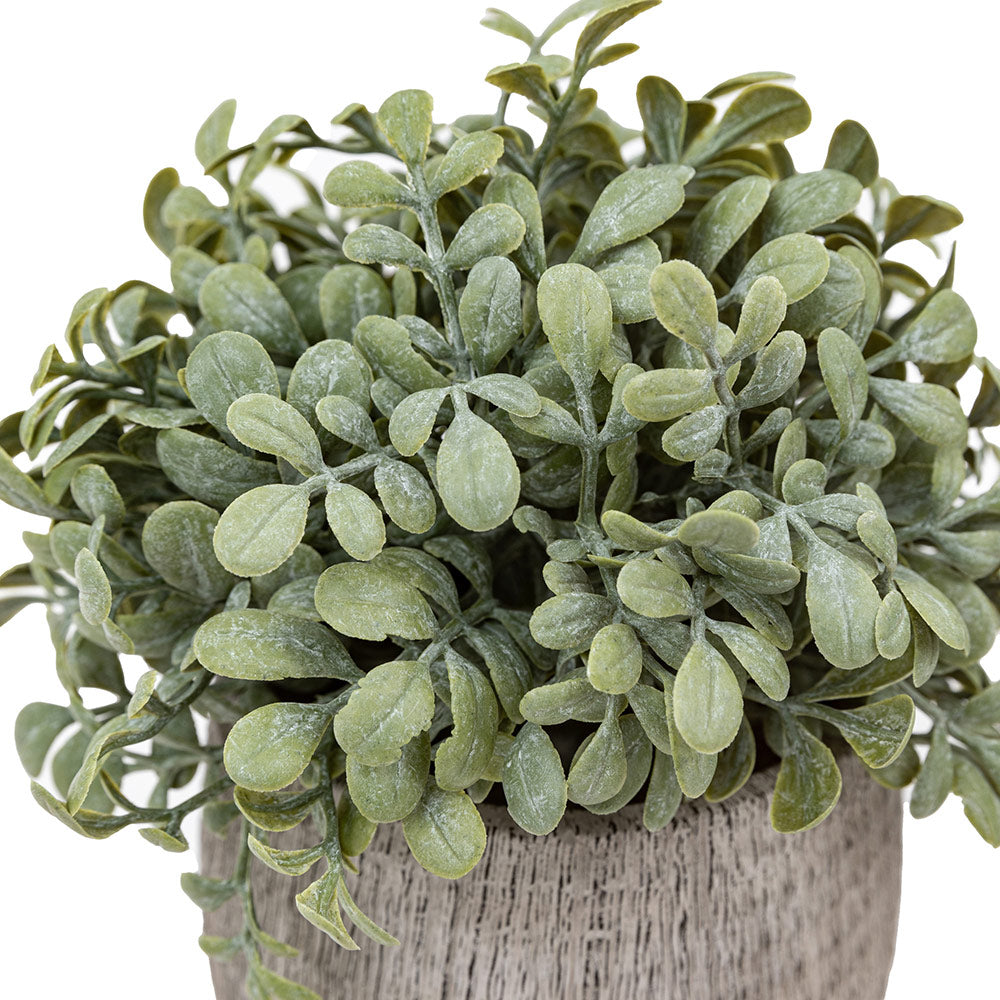 Set of 2 Potted Plant Ceramic Scratch Pots Sage