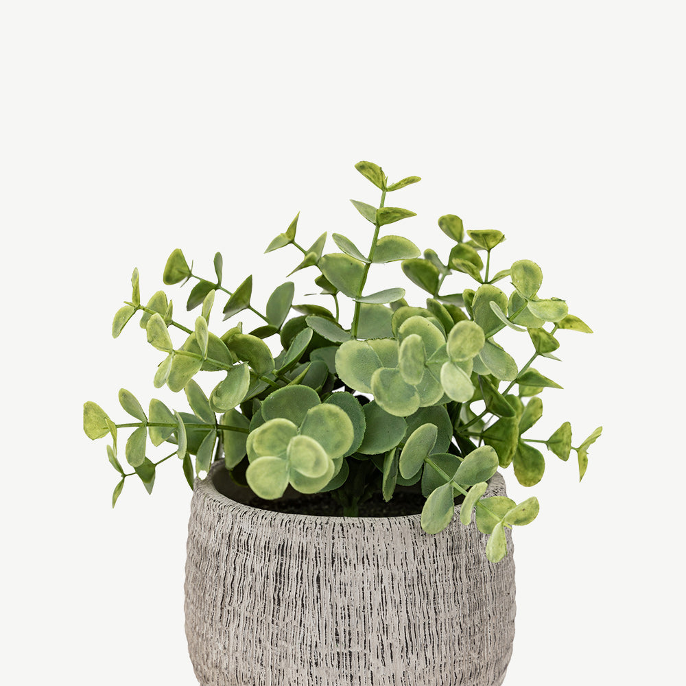 Set of 2 Potted Plant Ceramic Scratch Pots Sage