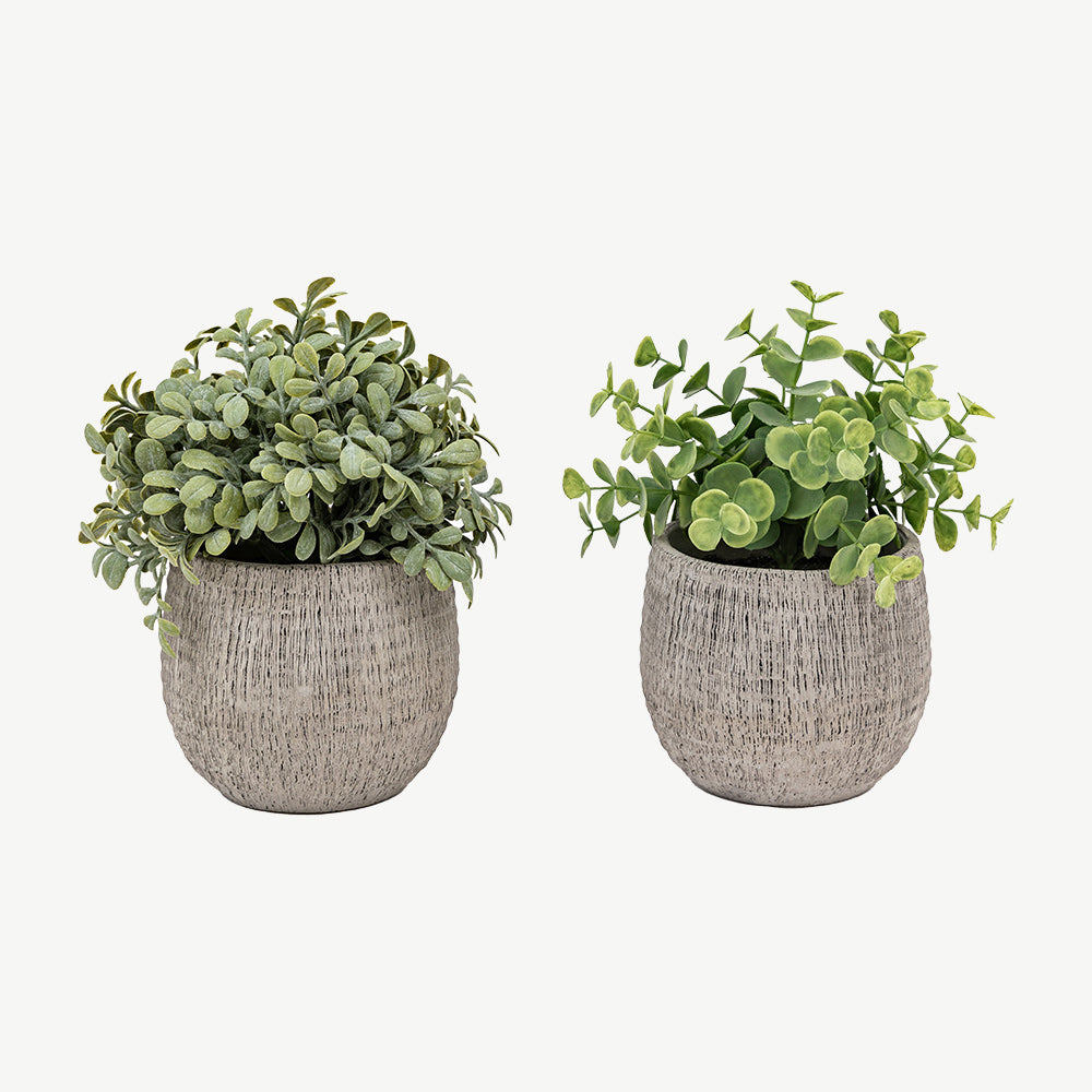 Set of 2 Potted Plant Ceramic Scratch Pots Sage