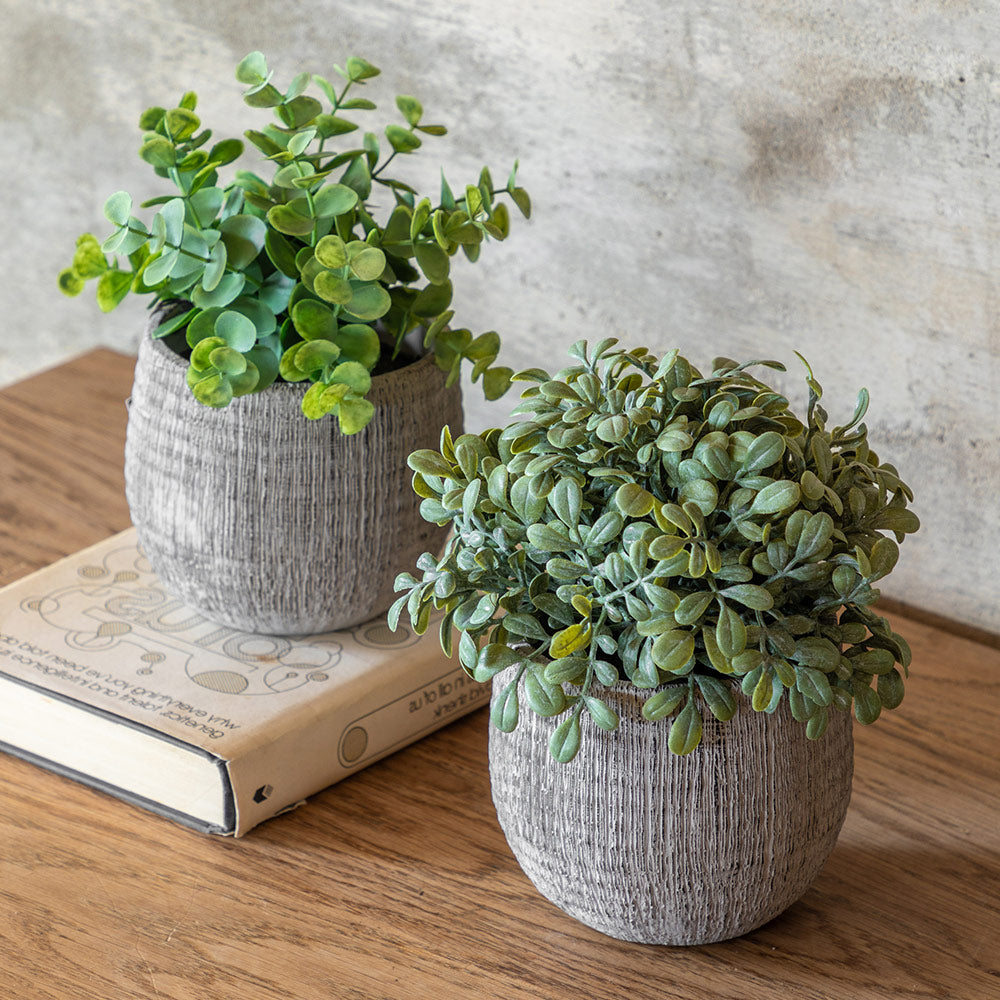 Set of 2 Potted Plant Ceramic Scratch Pots Sage